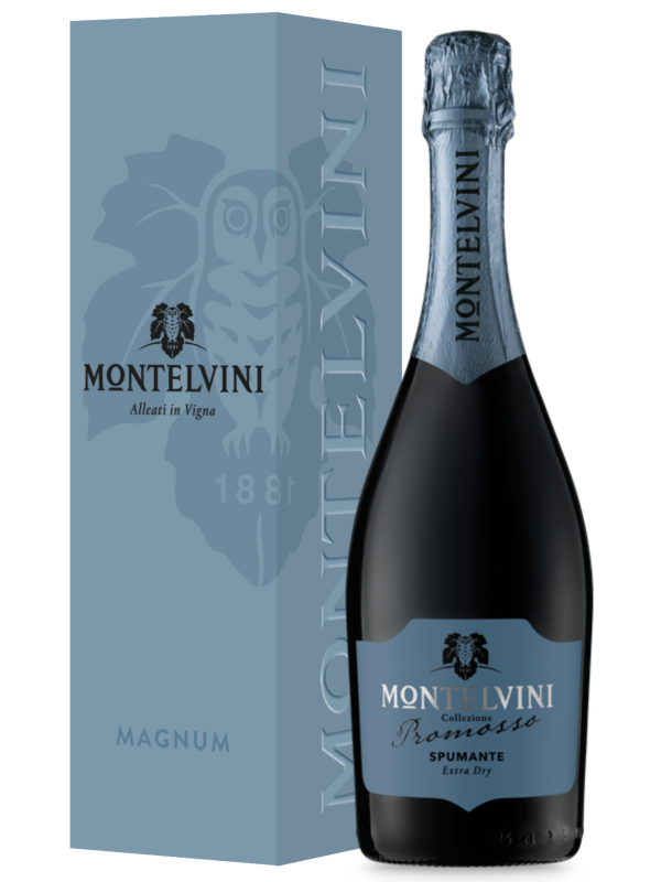 MONTELVINI SPUMANTE ALB EXTRA DRY MAGNUM 1.5L + CUTIE CADOU