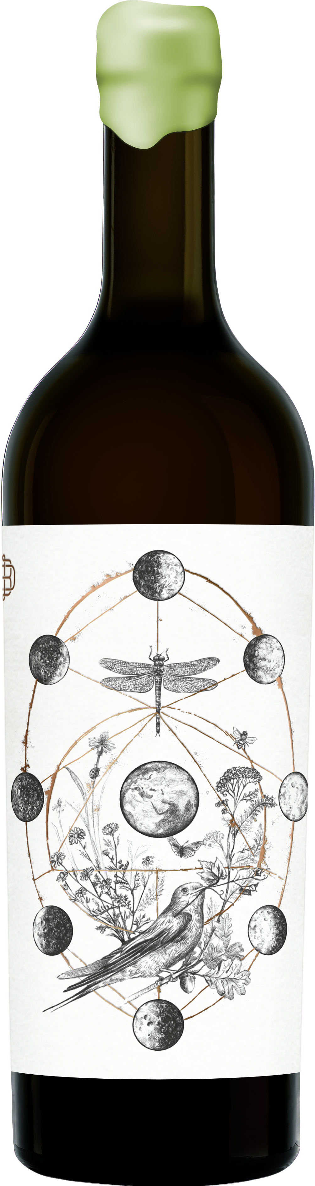 DOMENIUL BOGDAN - PATRAR SYRAH BIODINAMIC 0.75L