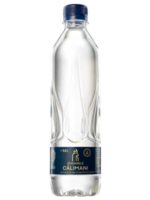 APA PLATA IZVOARELE CALIMANI 0.5L 