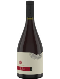 RATESTI MERLOT 0.75L