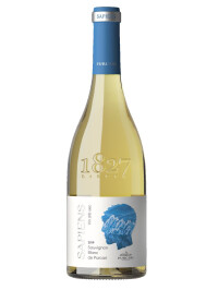 PURCARI SAPIENS - SAUVIGNON BLANC 2021 0.75L