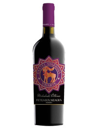 VINARTE - CASTEL STÂRMINA FETEASCĂ NEAGRĂ 0.75L 