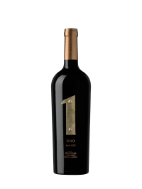 ANTIGAL UNO MALBEC 2020 0.75L