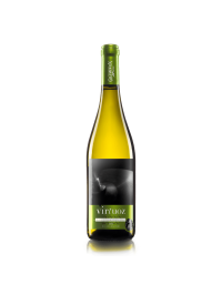 GRAMOFON VIRTUOZ MUSCAT OTTONEL + FETEASCA REGALA  0.75L